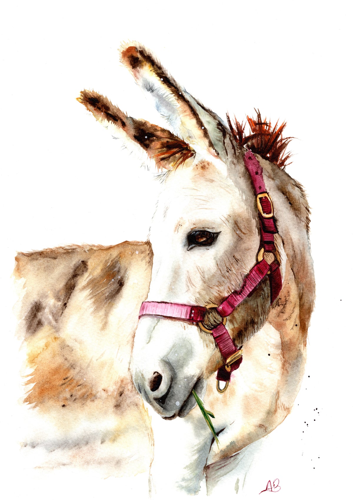 The Quiet Wanderer print