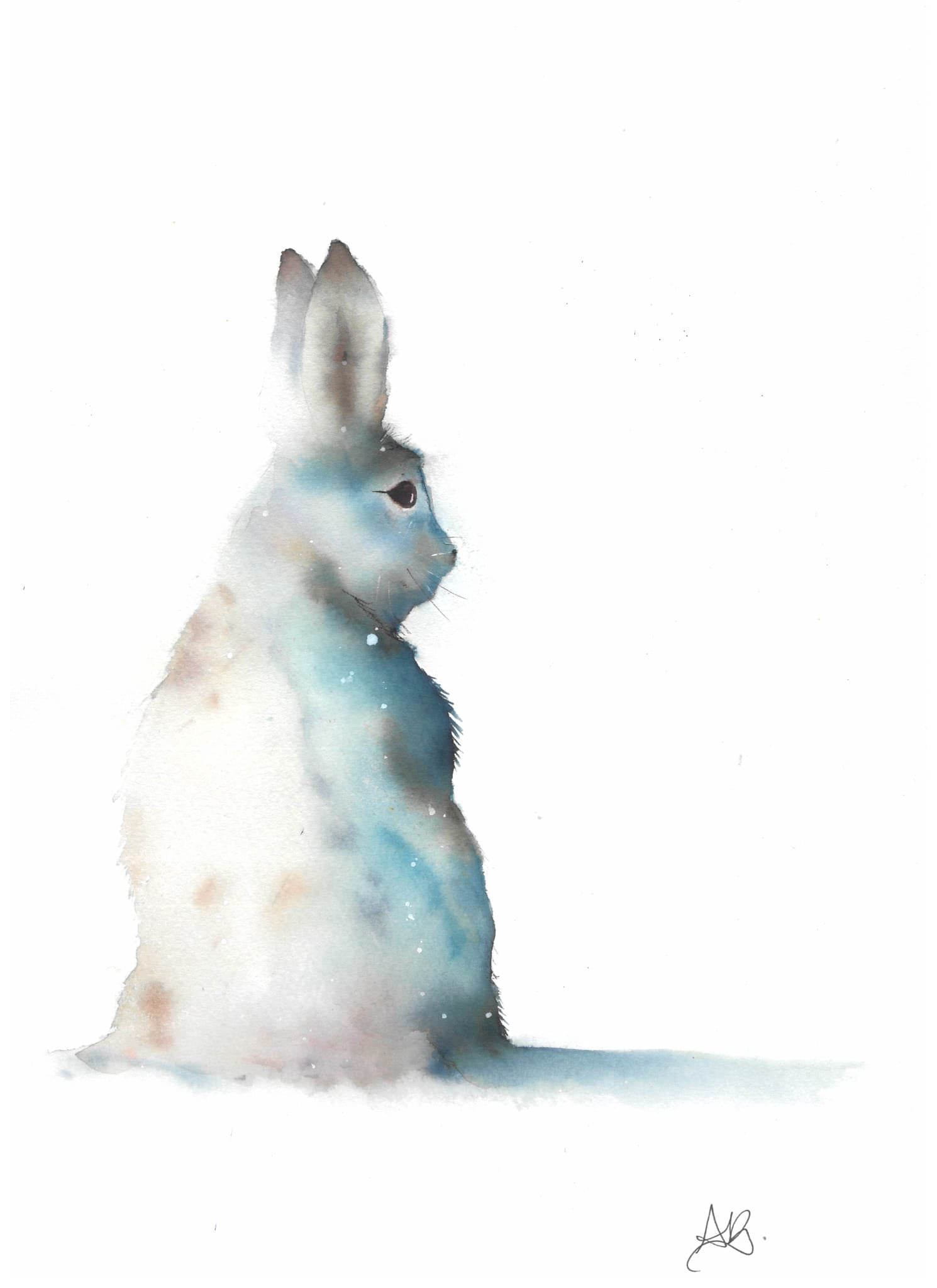 Snow Hare A4