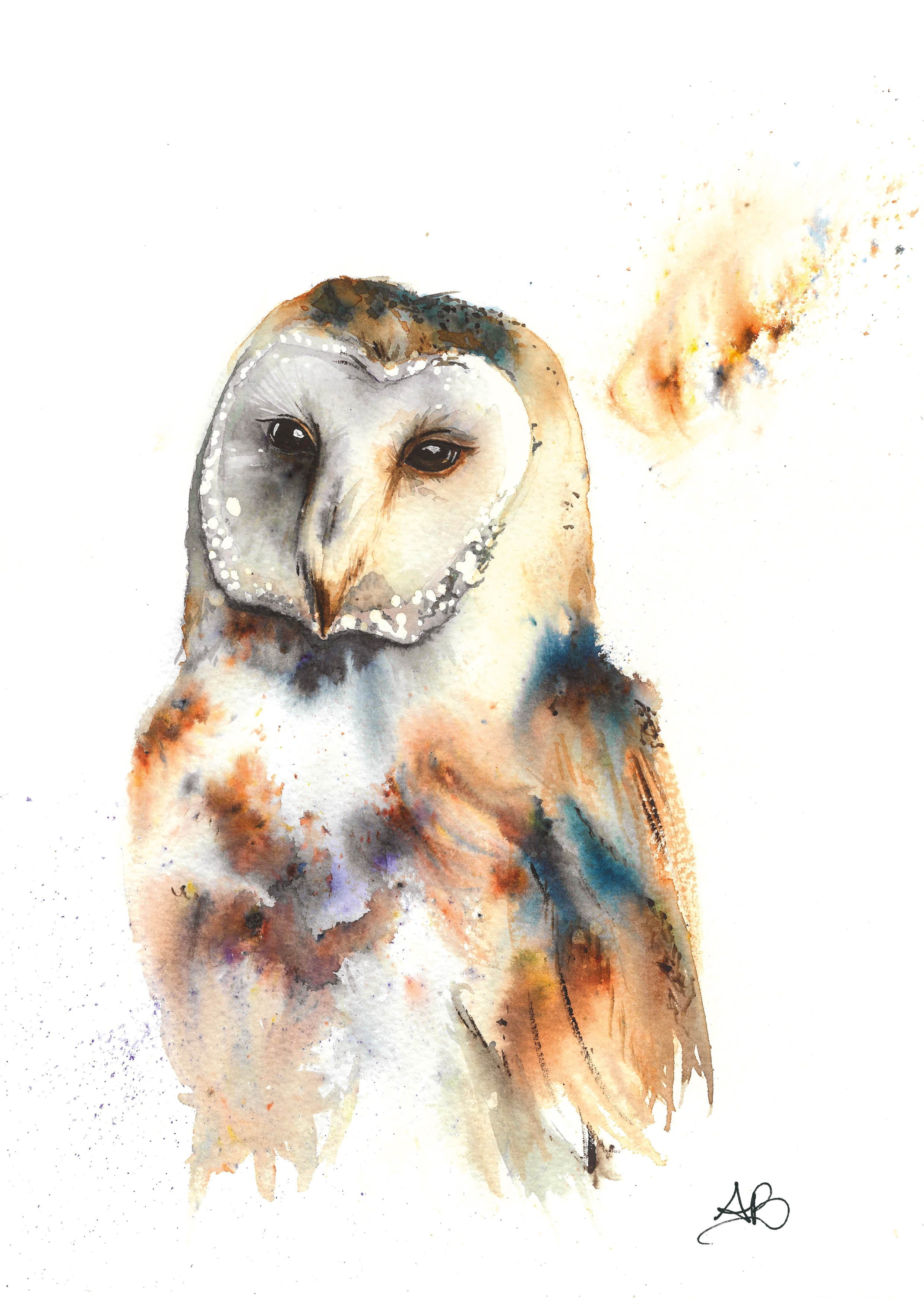 Winter Collection '26: Barn Owl A5