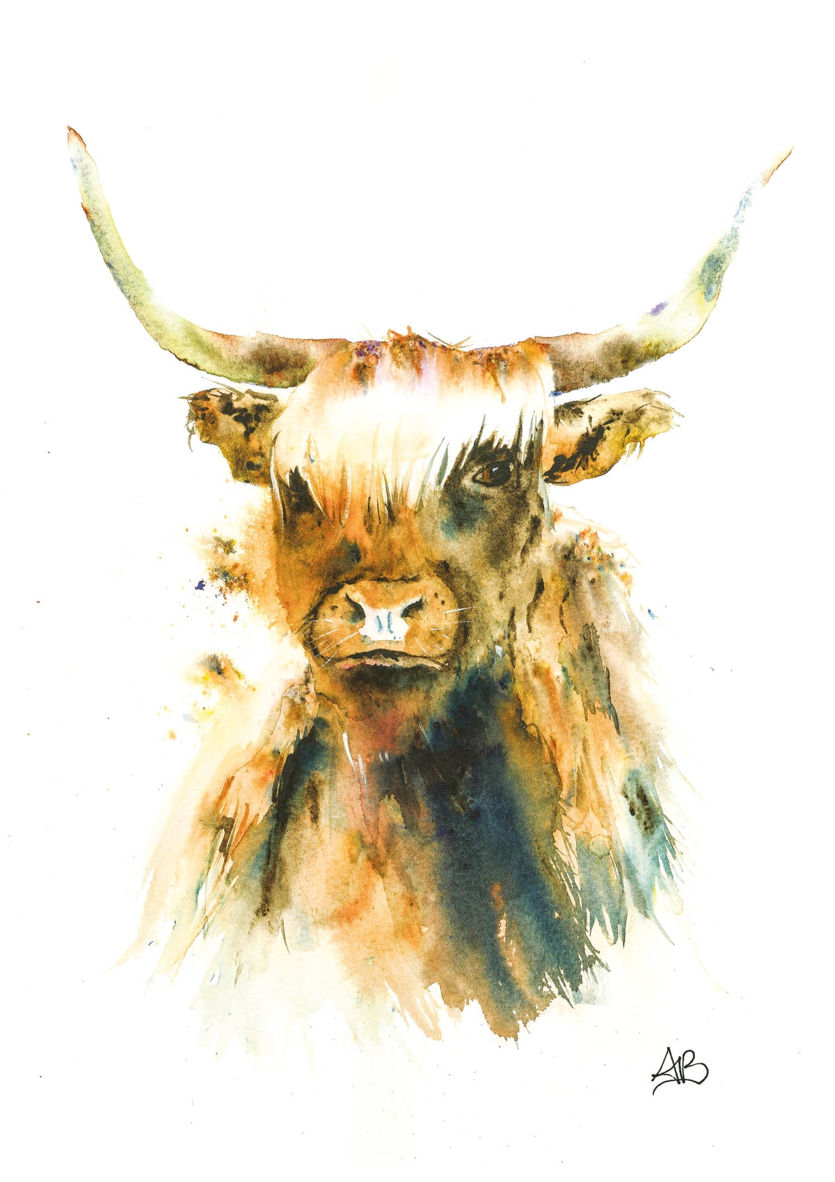 Highland Cow: A4 print